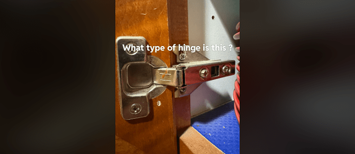 What kind of hinge is this_ When I went to Home Depot, I couldn't locate it.